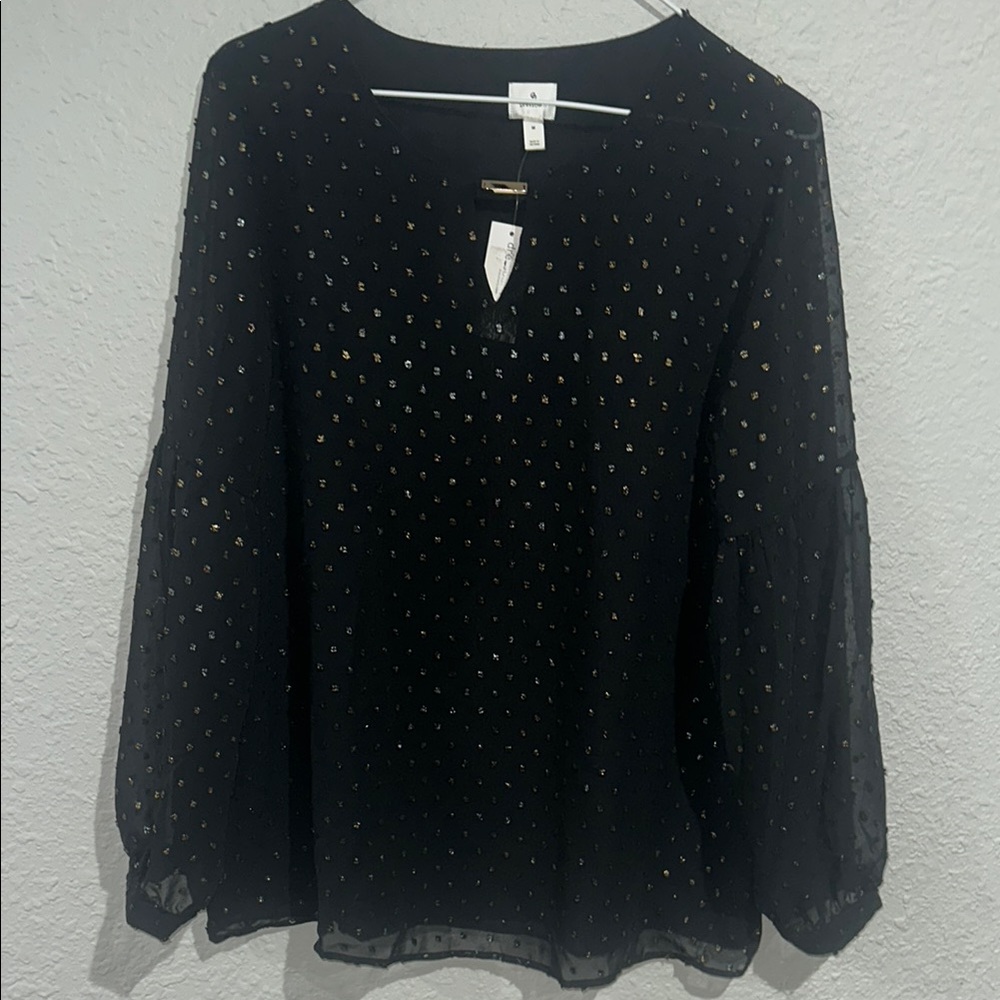 Dress Barn size medium Black Sheer Women's Top